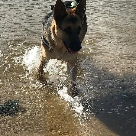 Casa Lagoa Pensjonat