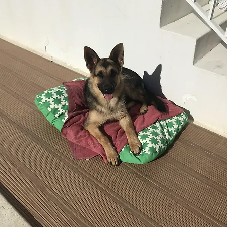 Pensjonat Casa Lagoa 4*