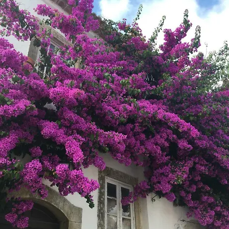 Casa Lagoa 4*