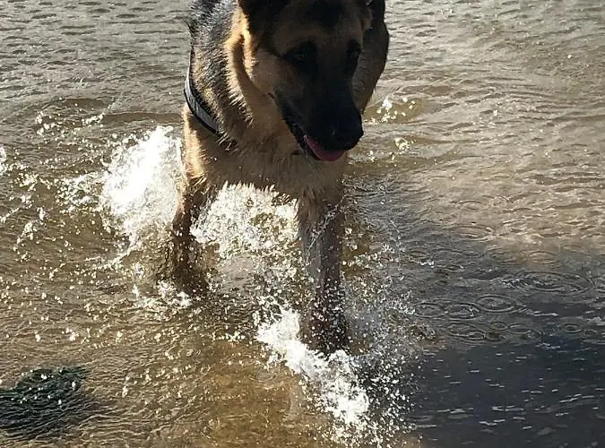 Casa Lagoa Casa de hóspedes