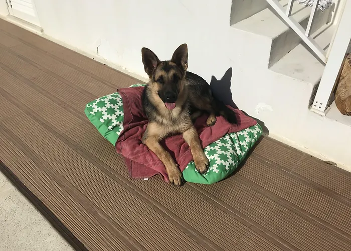 Casa de hóspedes Casa Lagoa 4*