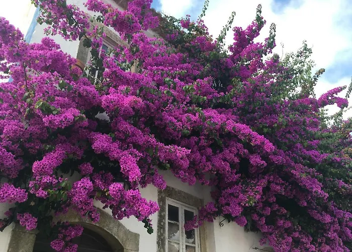 Casa Lagoa 4*